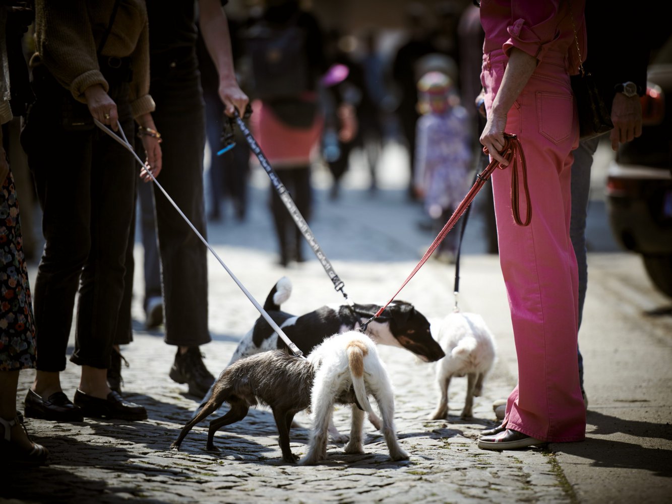 Leipziger Baumwollspinnerei